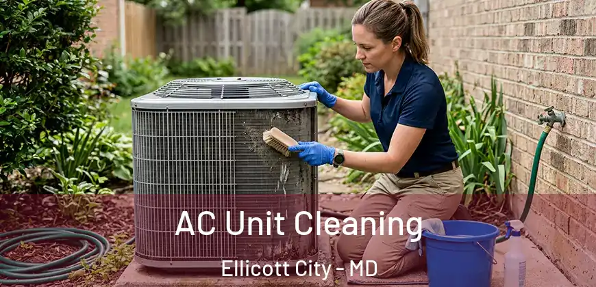  AC Unit Cleaning Ellicott City - MD