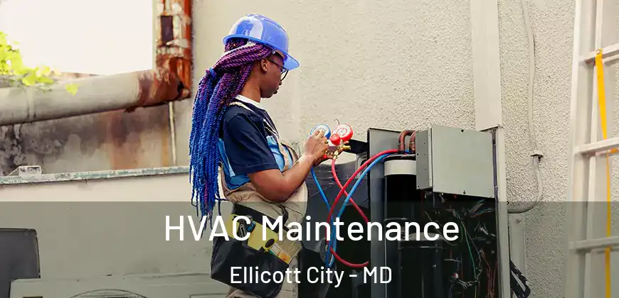  HVAC Maintenance Ellicott City - MD